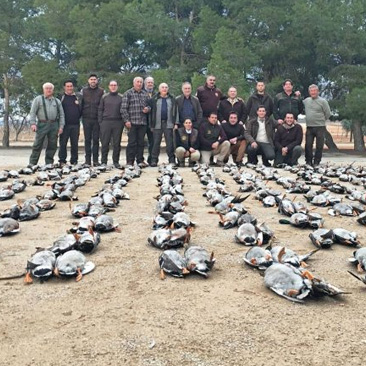 caza menor Tirada de patos en Albacete
