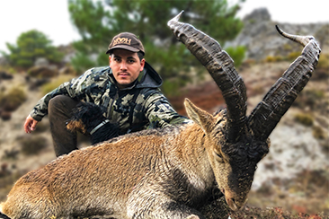 Hunting Southeastern Spanish Ibex